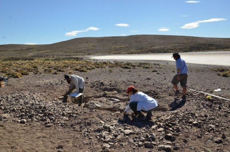 Encuentran un nido con más de 100 huevos de dinosaurios en la patagonia  argentina – Atentos